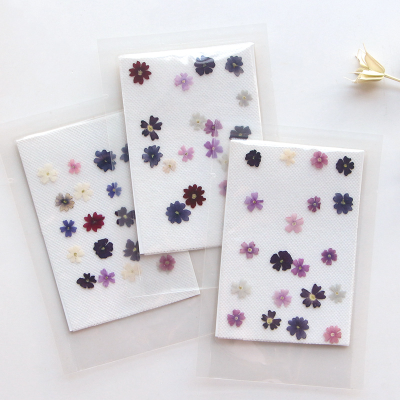 Pressed Flower Frame - 40 sztuk/partia, Mini Beauty Cherry prasowane