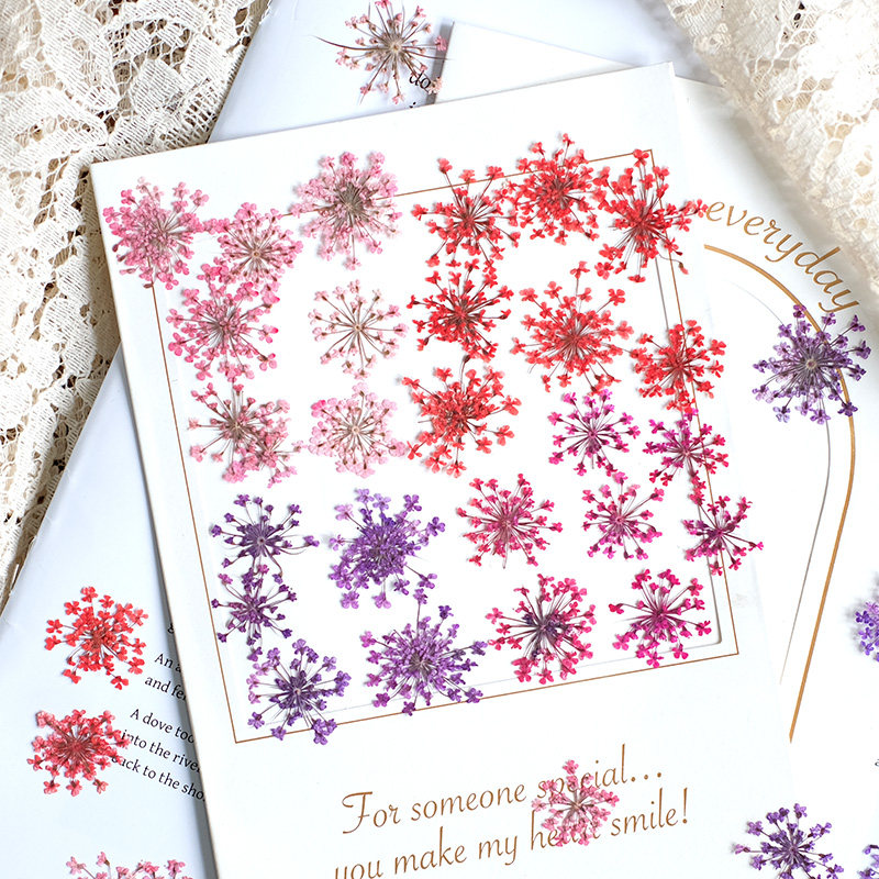Pressed Flower Frame - 24 szt., 2-2,5 cm, Naturalnie Barwione
