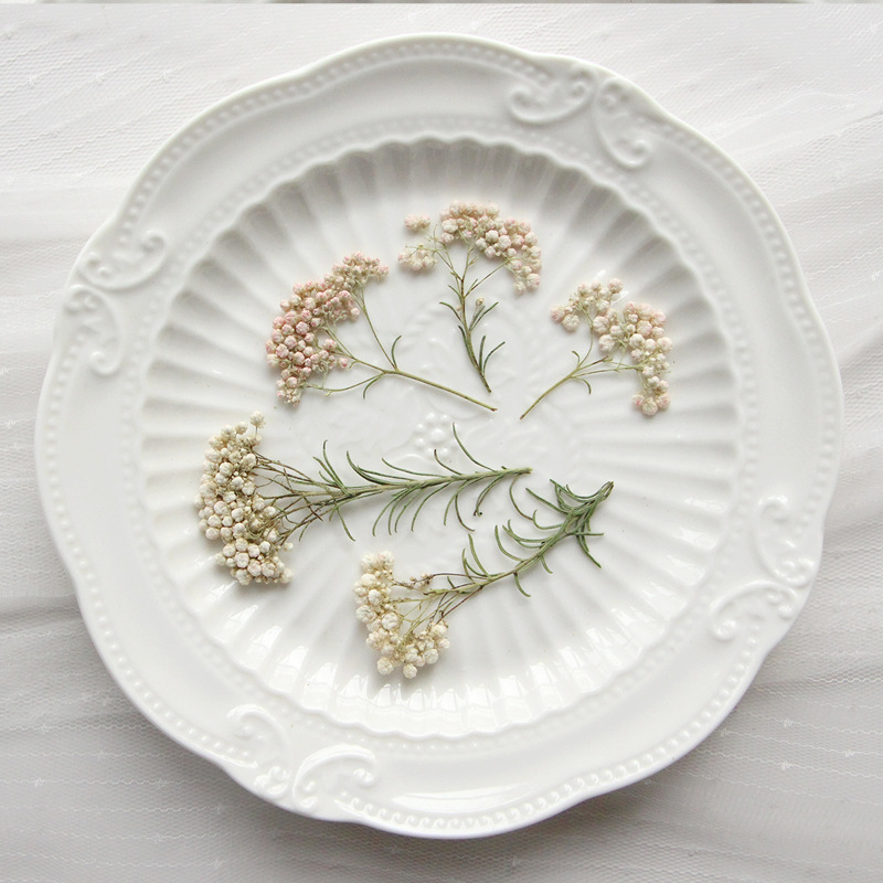 Pressed Flower Frame - 12 szt., Naturalne gałązki kwiatów prosiaka,