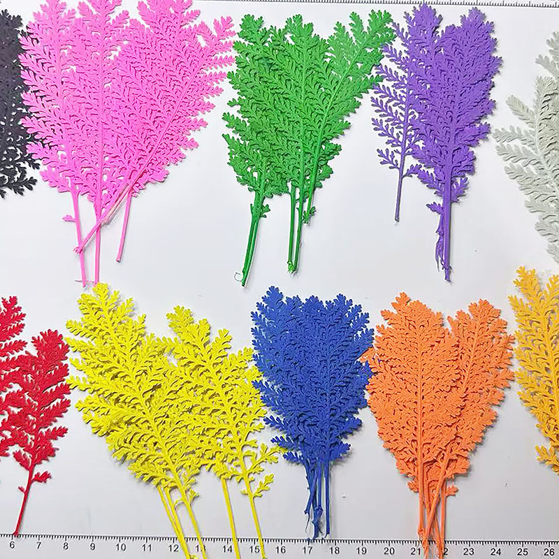 Pressed Flower Frame - 100 szt. Naturalne srebrne pióra liściaste