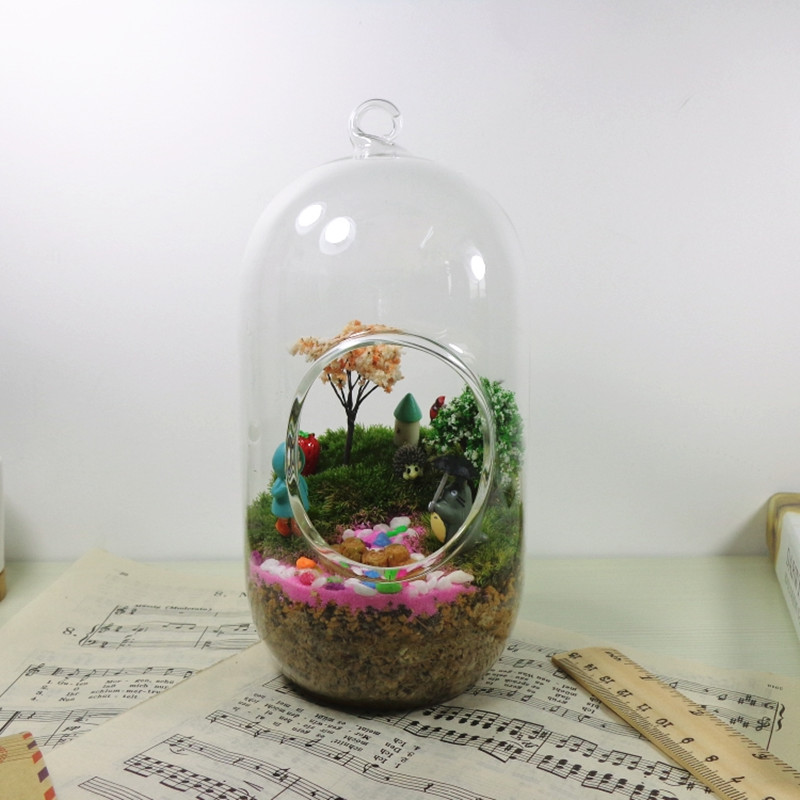 2 szt./opak. 10*20cm Duży Szkl – Terrarium Glass Bottle recenzja i cena