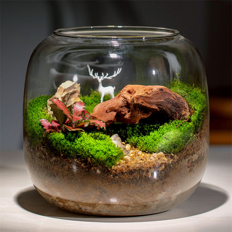 Mikro Krajobraz Mchu Szklana B – Terrarium Glass Bottle recenzja i cena