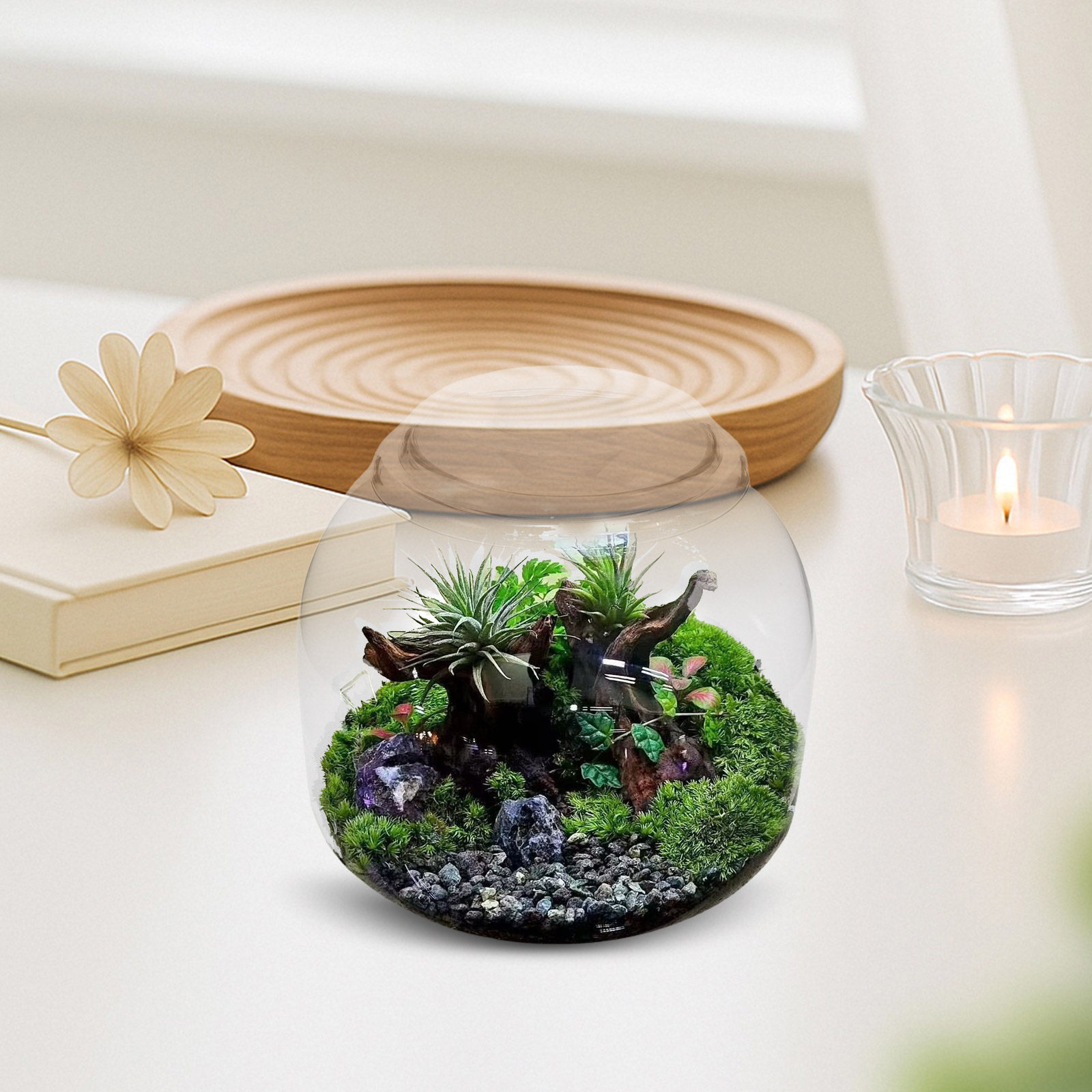 Szklany słoik-terarium z pokry – Terrarium Glass Bottle recenzja i cena