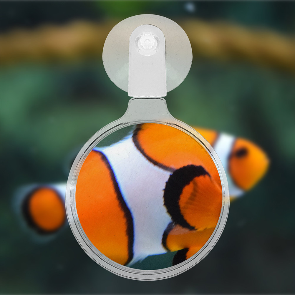2 szt. Lupa do akwarium z przy – Terrarium Glass Bottle recenzja i cena