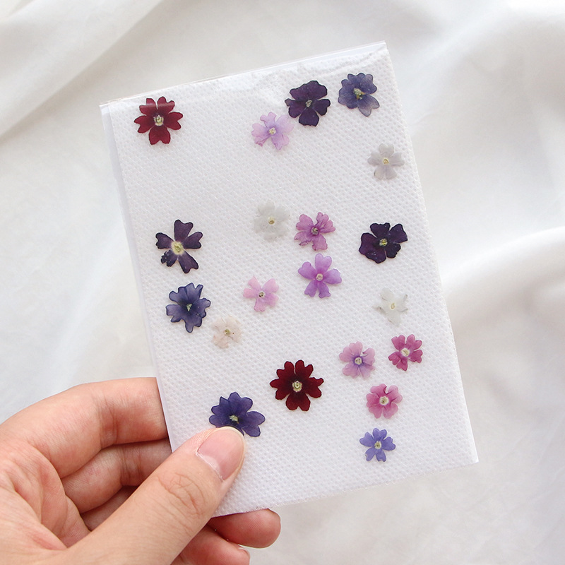 40 sztuk/partia, Mini Beauty C – Pressed Flower Frame recenzja i cena