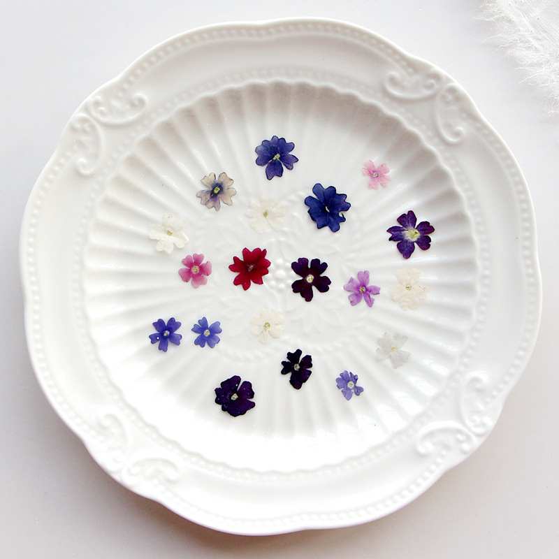 40 sztuk/partia, Mini Beauty C – Pressed Flower Frame recenzja i cena