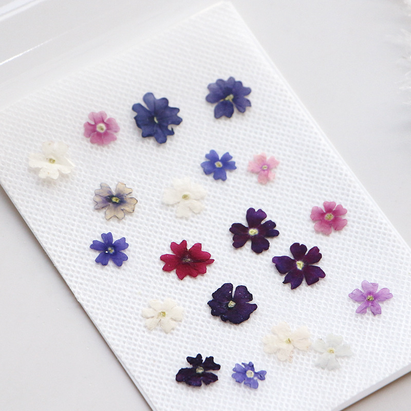 40 sztuk/partia, Mini Beauty C – Pressed Flower Frame recenzja i cena