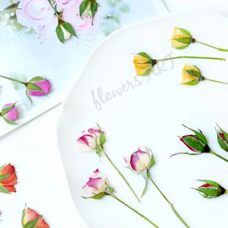 Suszone płatki róż, suszone kw – Pressed Flower Frame recenzja i cena