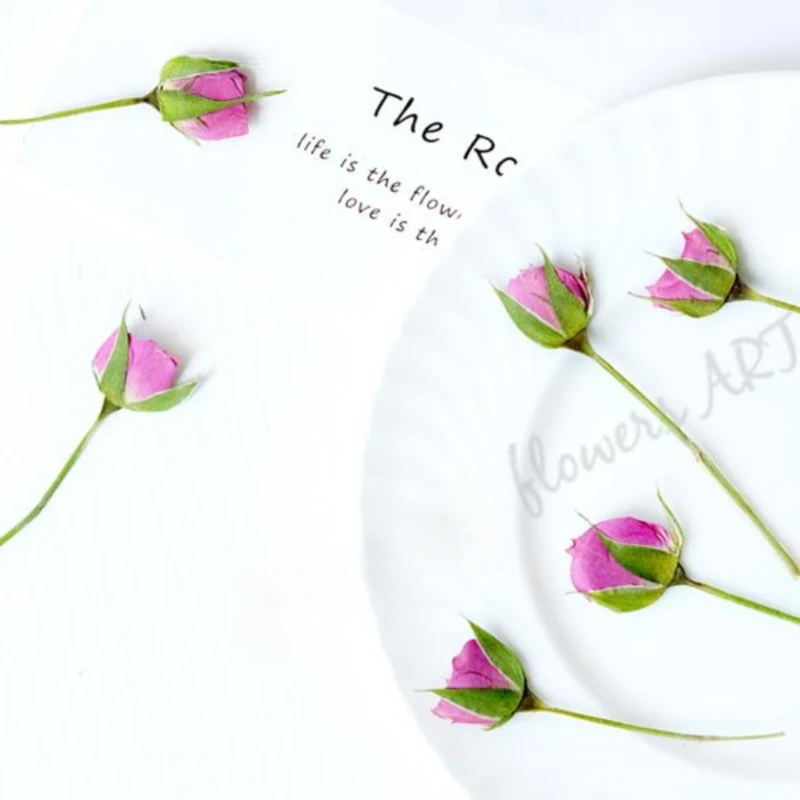 Suszone płatki róż, suszone kw – Pressed Flower Frame recenzja i cena