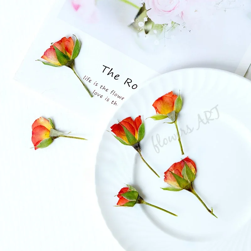 Suszone płatki róż, suszone kw – Pressed Flower Frame recenzja i cena