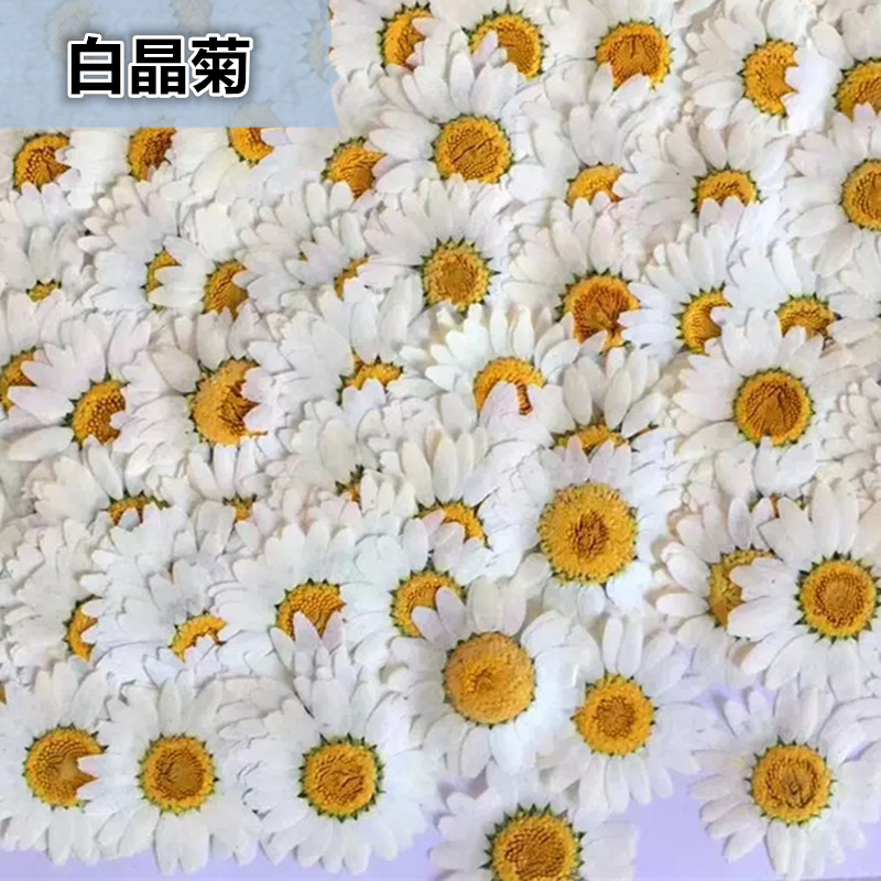 100 szt. Naturalne Białe Krysz – Pressed Flower Frame recenzja i cena