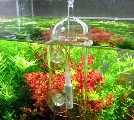 VIV Do urządzenie Cylinder akw – Terrarium Glass Bottle recenzja i cena