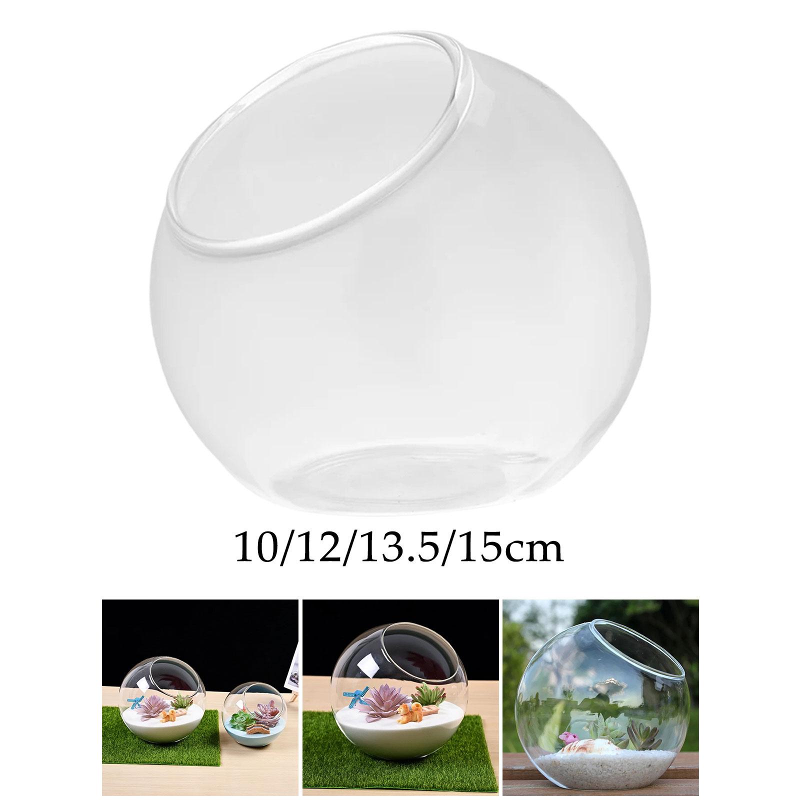 Terrarium Glass Vase Unique Ce – Terrarium Glass Bottle recenzja i cena
