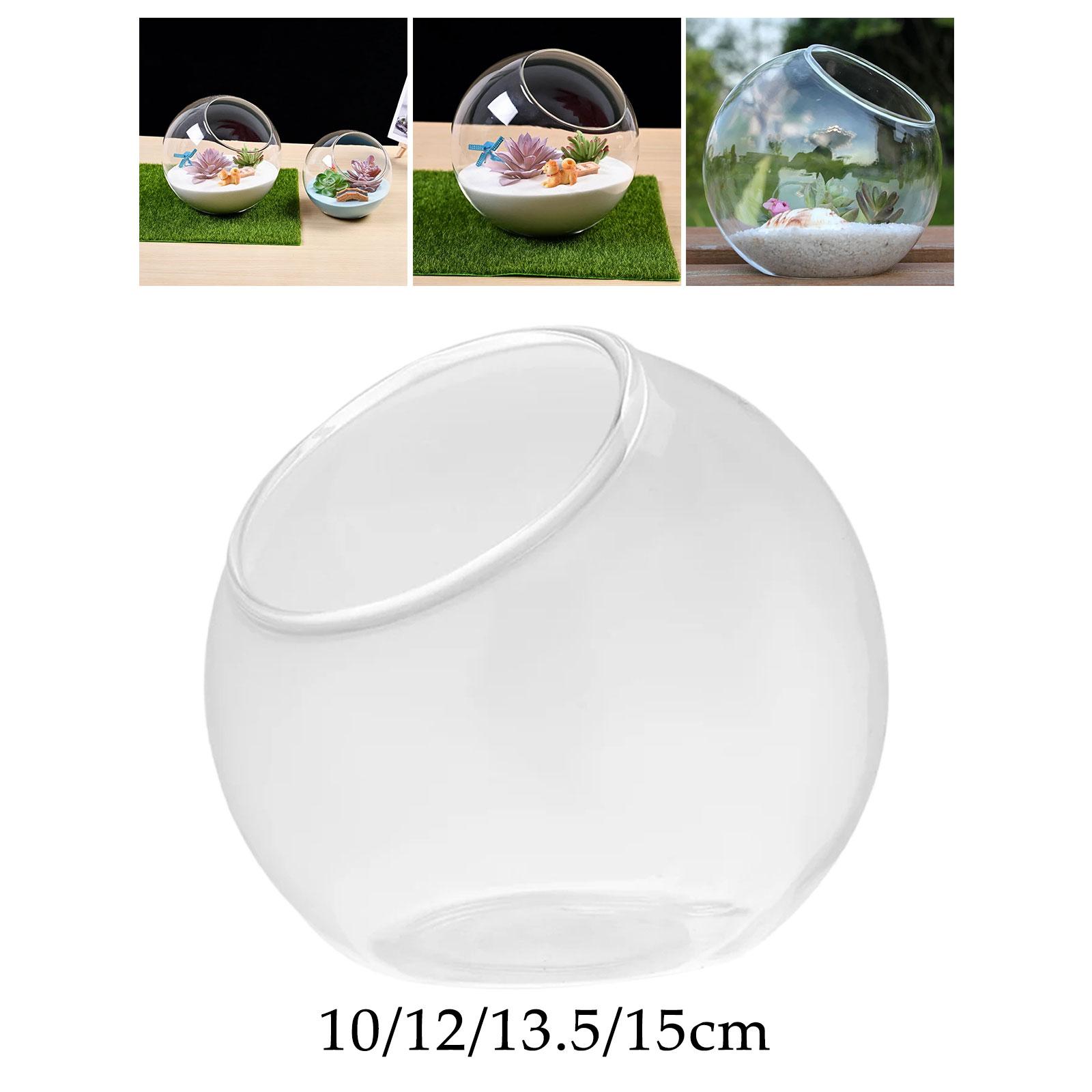 Terrarium Glass Vase Unique Ce – Terrarium Glass Bottle recenzja i cena
