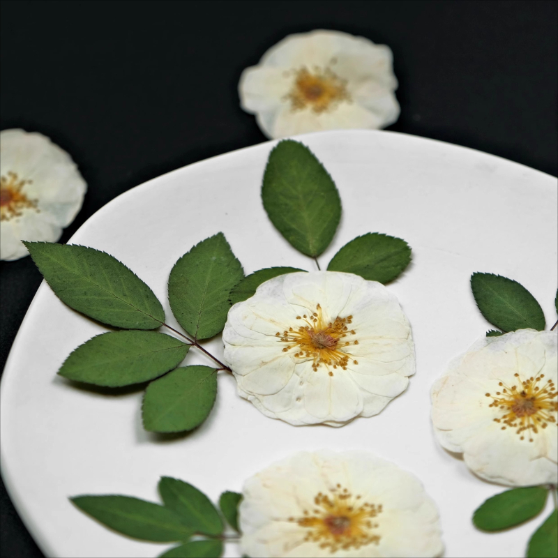 6 szt., 9 szt., Naturalne Biał – Pressed Flower Frame recenzja i cena