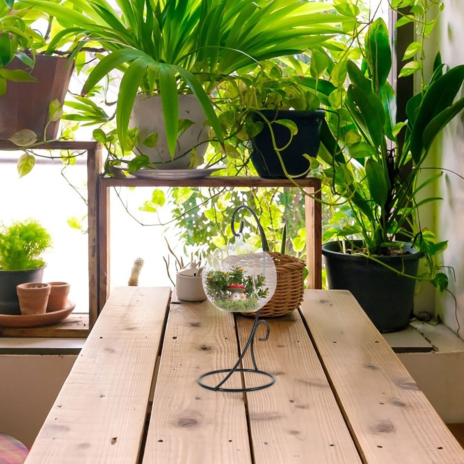 2 szt. Żelazne wiszące stojaki – Terrarium Glass Bottle recenzja i cena