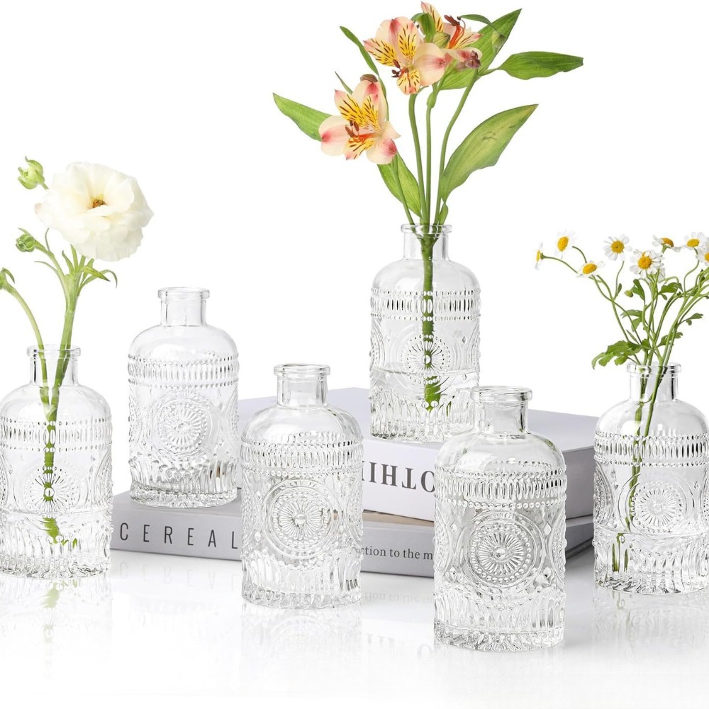 10 SZT. Francuskie Retro Wazon – Terrarium Glass Bottle recenzja i cena