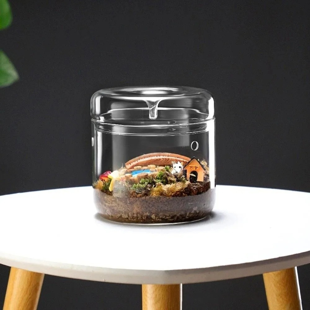 Szklany wazon do mikropejzaży  – Terrarium Glass Bottle recenzja i cena