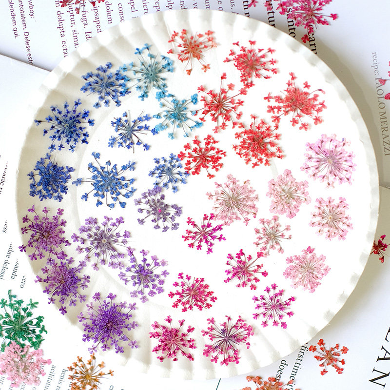 24 szt., 2-2,5 cm, Naturalnie  – Pressed Flower Frame recenzja i cena