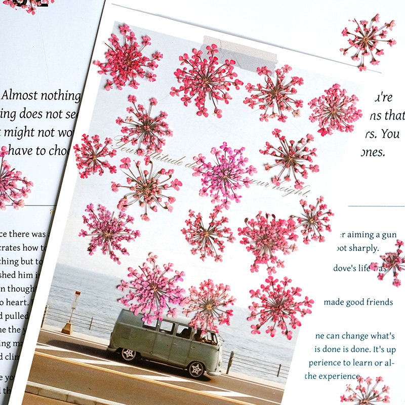 24 szt., 2-2,5 cm, Naturalnie  – Pressed Flower Frame recenzja i cena
