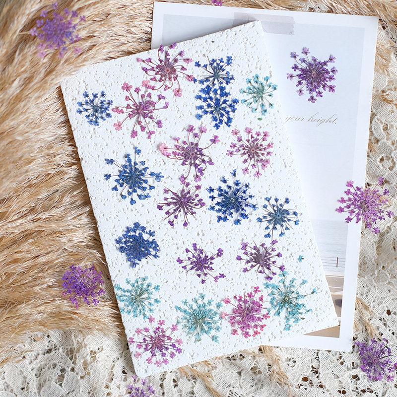 24 szt., 2-2,5 cm, Naturalnie  – Pressed Flower Frame recenzja i cena
