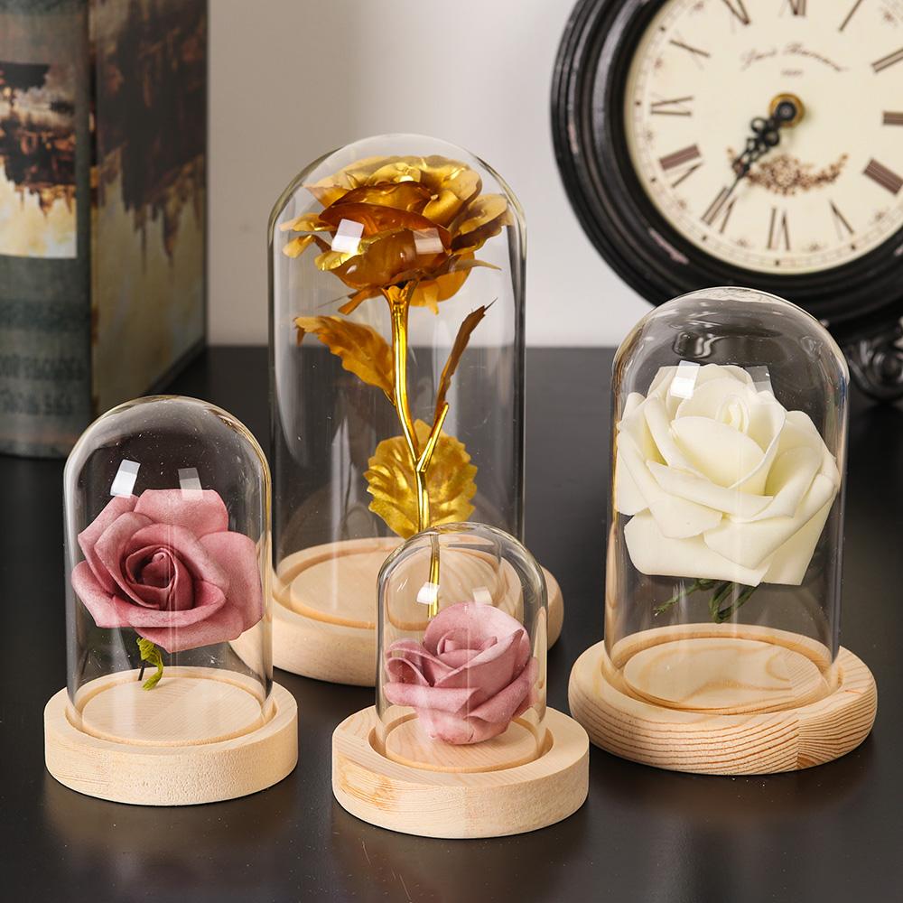 Szklany słoik z kloszem obudow – Terrarium Glass Bottle recenzja i cena