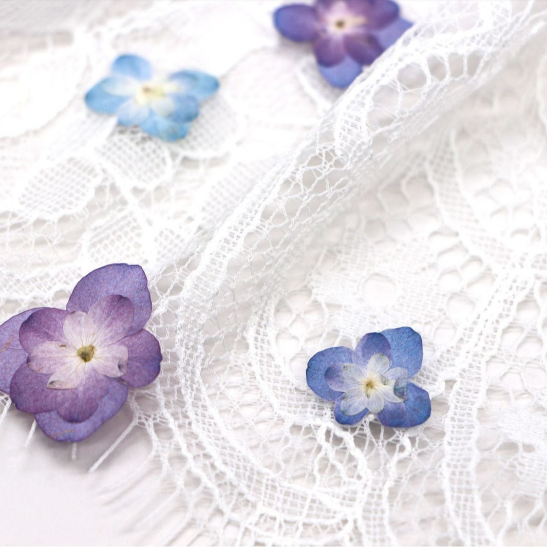 60 szt. Mini Hortensje Dwukwia – Pressed Flower Frame recenzja i cena