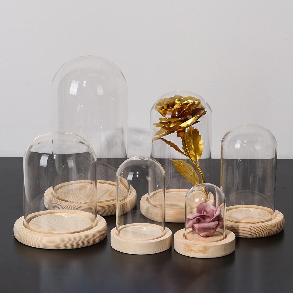 Szklany klosz, stojak ekspozyc – Terrarium Glass Bottle recenzja i cena