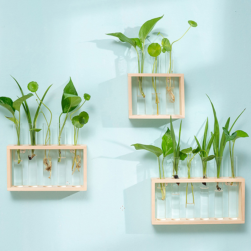 Hydroponiczny pojemnik na rośl – Terrarium Glass Bottle recenzja i cena
