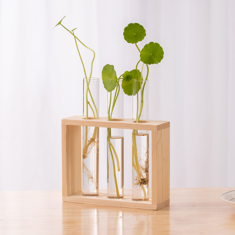 Hydroponiczny pojemnik na rośl – Terrarium Glass Bottle recenzja i cena