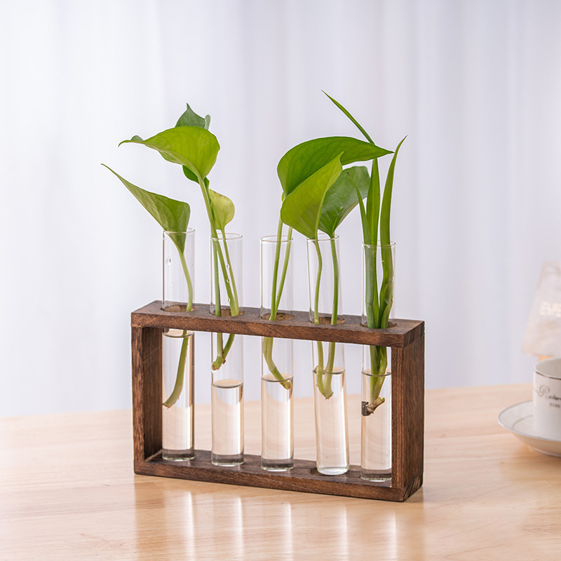 Hydroponiczny pojemnik na rośl – Terrarium Glass Bottle recenzja i cena
